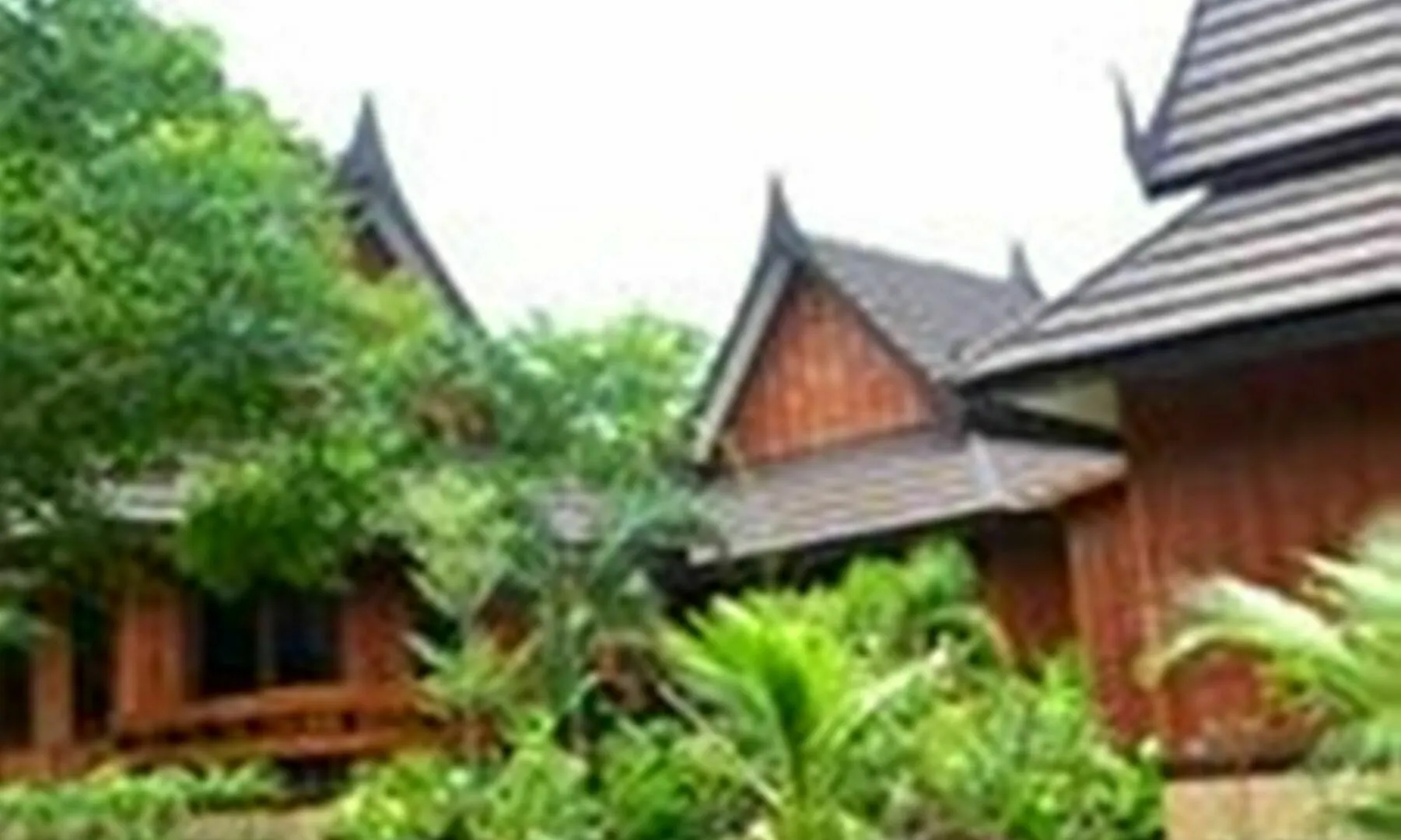 Paradise Pearl Bungalows Phi Phi Don