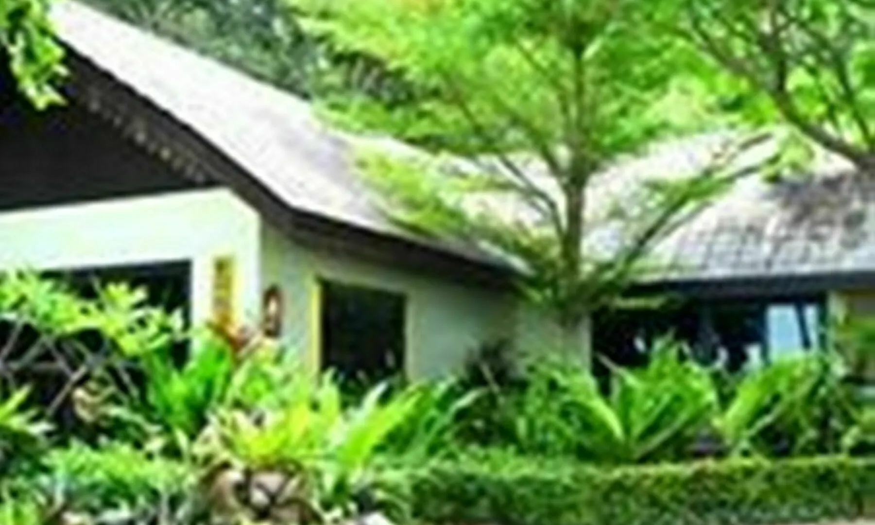 קו פי פי Paradise Pearl Bungalows